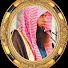 77rxeUcpLfY-channel-avatar-Qari Sohaib Islamic Reminder