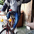 dYyXyZuwOJg-channel-avatar-Pieter De Roo