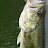 @Bassfish88 Avatar