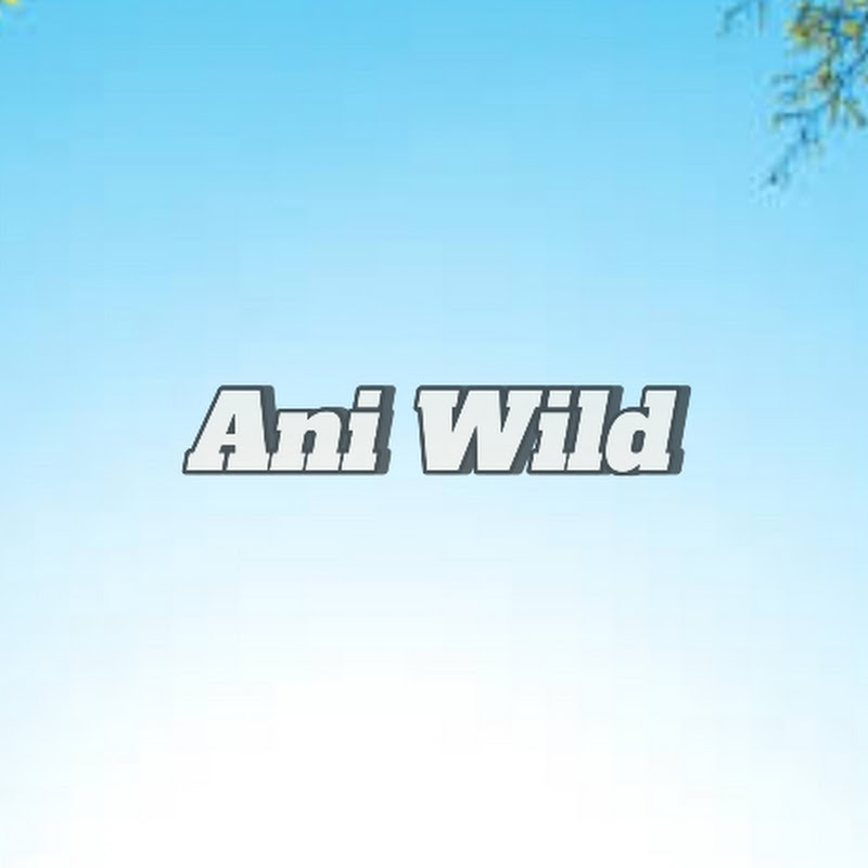Ani wild