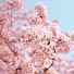 AFj_sU1zljQ-channel-avatar-Viwi