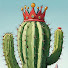 vbs4PV8zn8w-channel-avatar-NobleCactus