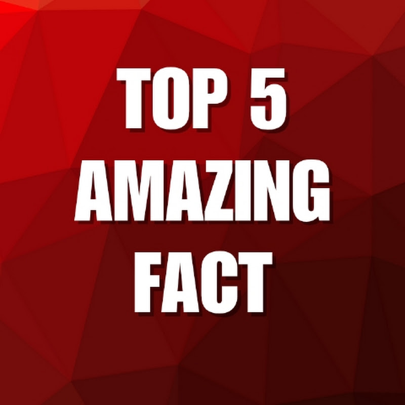 top 5 amazing fact