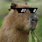 @KeepCalmCapybara