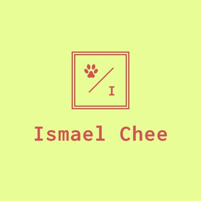 Ismael Chee Net Worth & Earnings (2024)