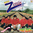 Grupo Zender - Topic