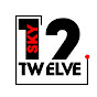 SKY12 NETWORK PRIVATE LIMITED logo
