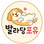 발라당포유