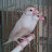 @seven9268-j9c