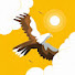 qd2Smx5HFXc-channel-avatar-HIDDEN PLACE  and 3 more