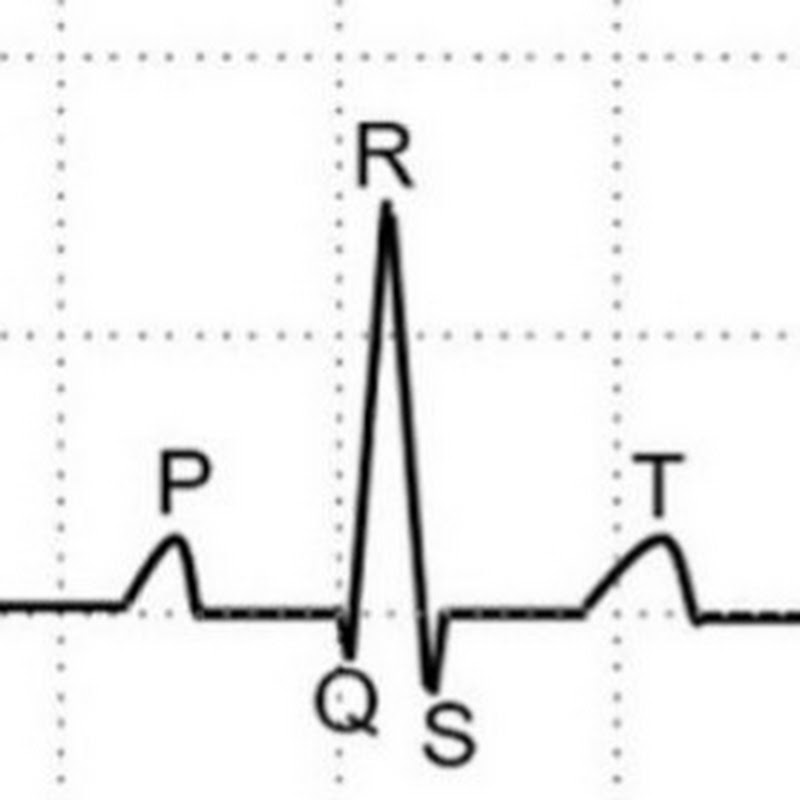 Johnson's Cardiology