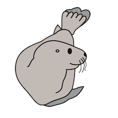 Seal Research Trust
