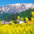 SGCqv6qPu70-channel-avatar-Japan 4K Nature 