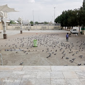 Best recitation and great places