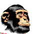 CtDqyLf0_bQ-channel-avatar-Kizito maujanja