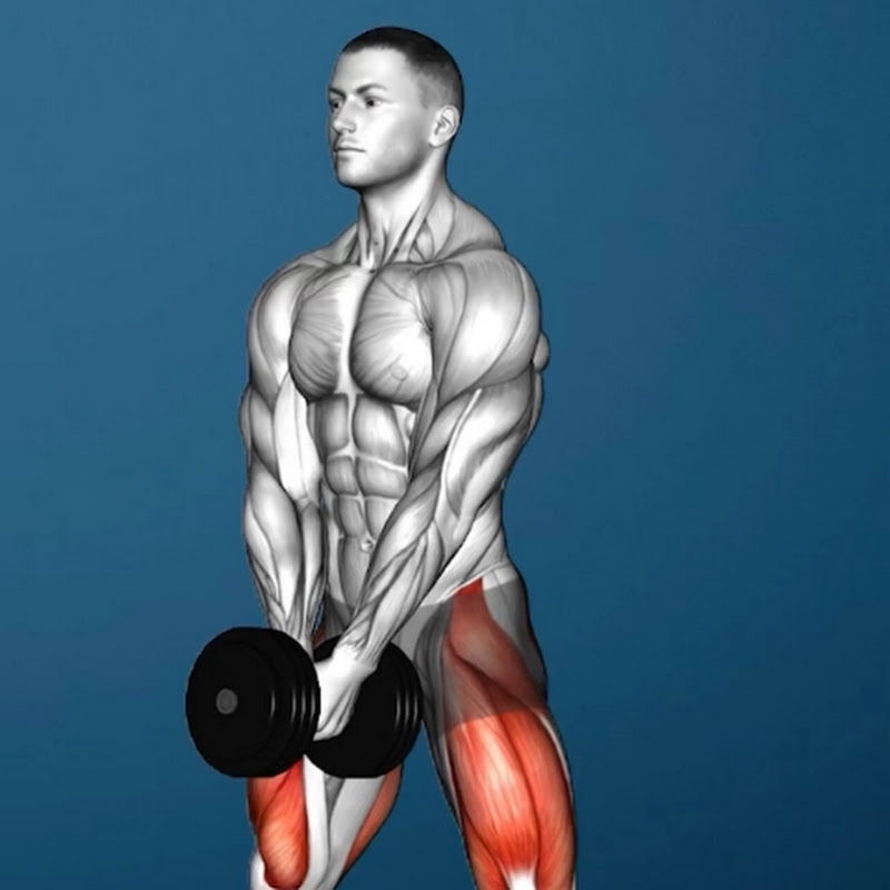 Workout Revolution 
