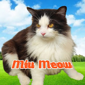 Miu Meow
