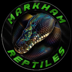 Thumbnail of related channel