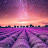 @Interstellar-mz6xx