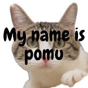 【保護猫】おろしぽんず