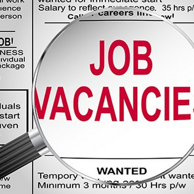ANK job seekers