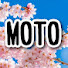 h6bscfqGfNc-channel-avatar-モト櫻 MOTO ZAKURA