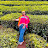 @30purnimamohanty39 Avatar