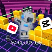 Gabri3l_gg_ ⓥ