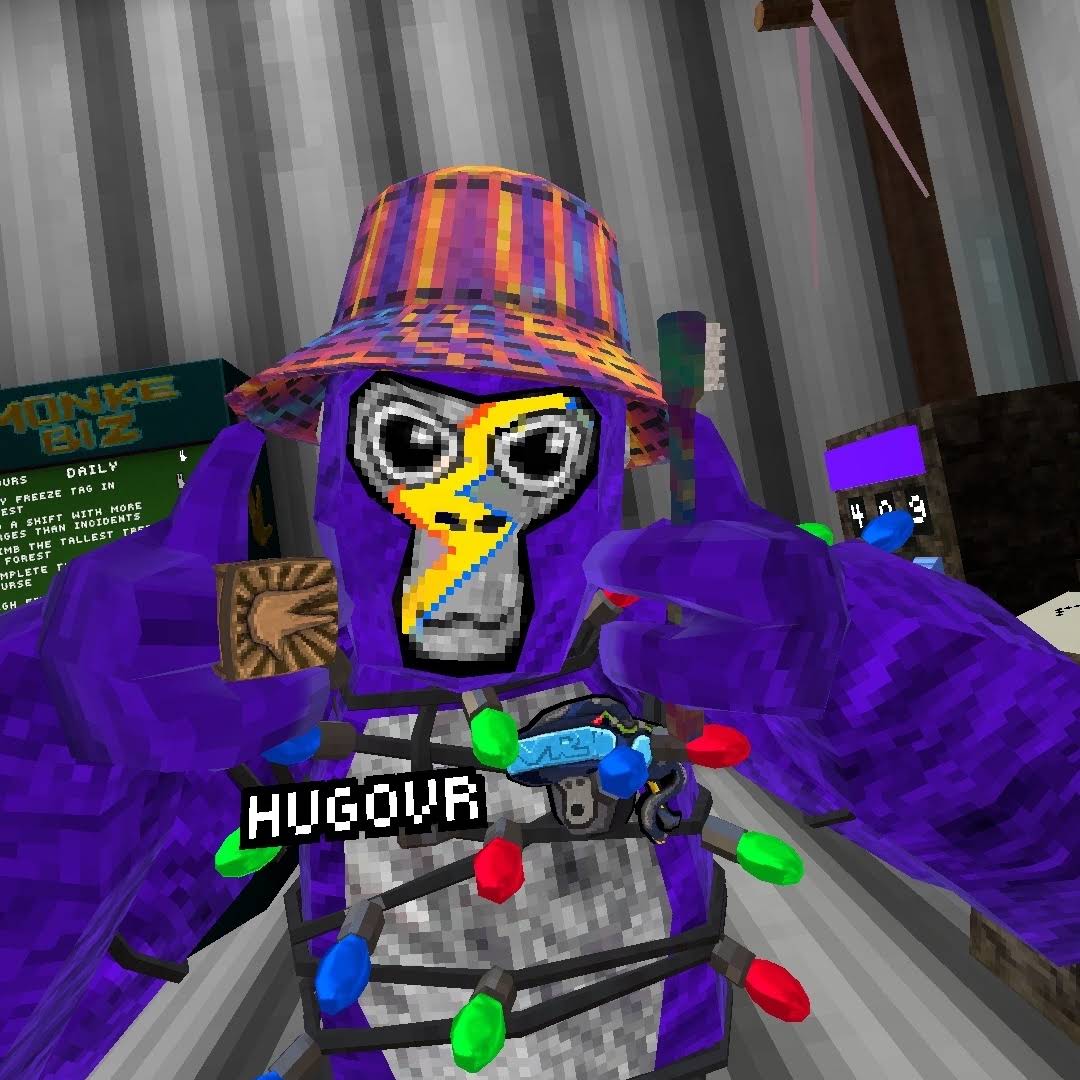 Post from Hugo VR