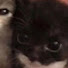 kevbMtY0Xyk-channel-avatar-why are you reading this go study