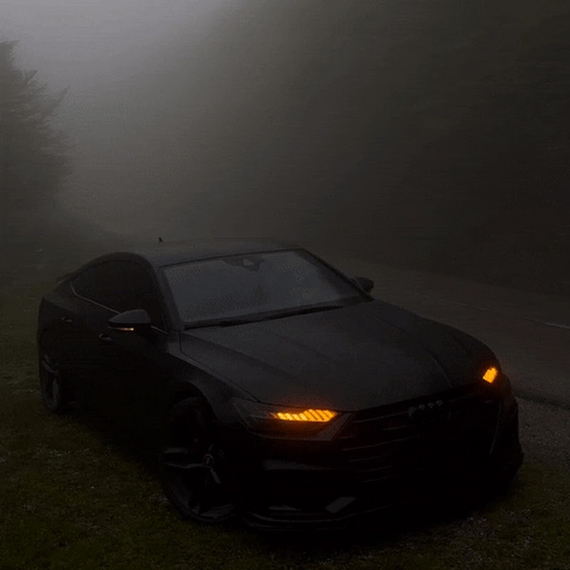 e a r t h