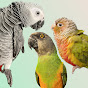 Sophie’s Parrots logo