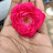 @harshchauhan7684 Avatar