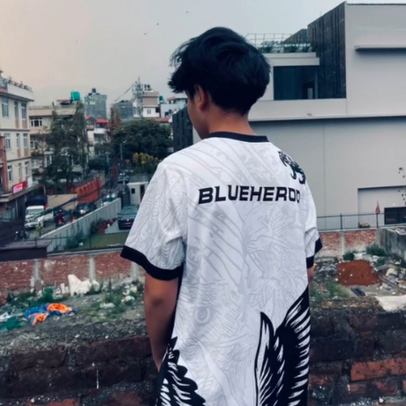 BLUE HERO
