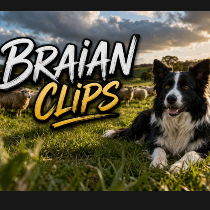 Braian_clips