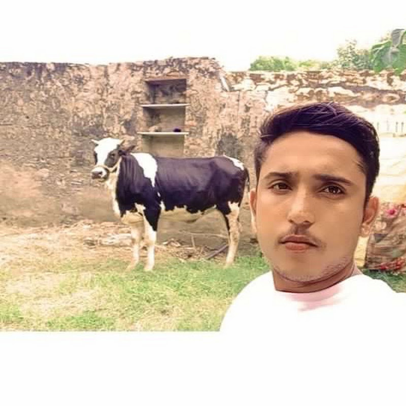 S.K Dairy Farm Bhilwara