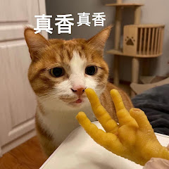 我养了十只猫アイコン画像