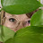 @LuvableCharlin's avatar