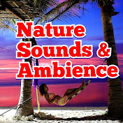 Nature Sounds And Ambience