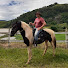 zxgBJN4SkvU-channel-avatar-Fazenda Boa Vista RJ - Pecuária Boi Nelore 