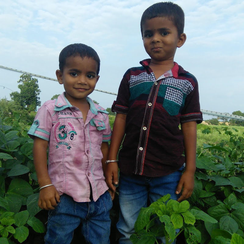 Lavanya shankar vlogs