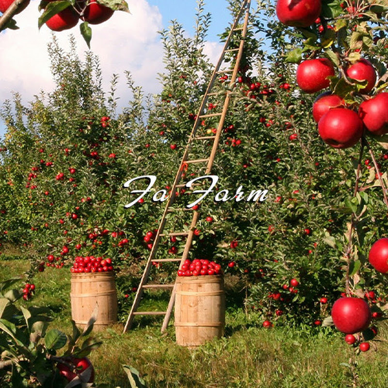 Fa Farm