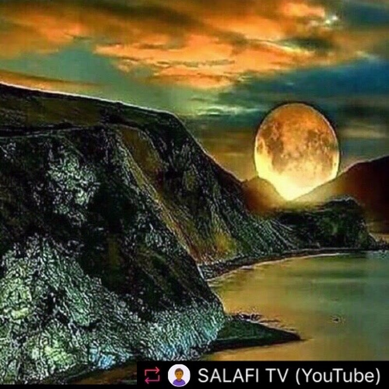 🕋SALAFI TV SALAFI TV🕋