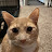 @bwg2469v2's avatar