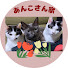 5ONslxQwz6Q-channel-avatar-あんこさん家