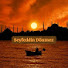 OoeEmJocnjk-channel-avatar-SeyfeDDin Dönmez 