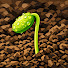 5RDH5M-4GcQ-channel-avatar-Wild Legacy