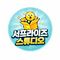 서프라이즈스튜디오