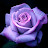 الصورة الرمزية لـ @yasminegg4167