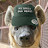 @aatamiyeen's avatar